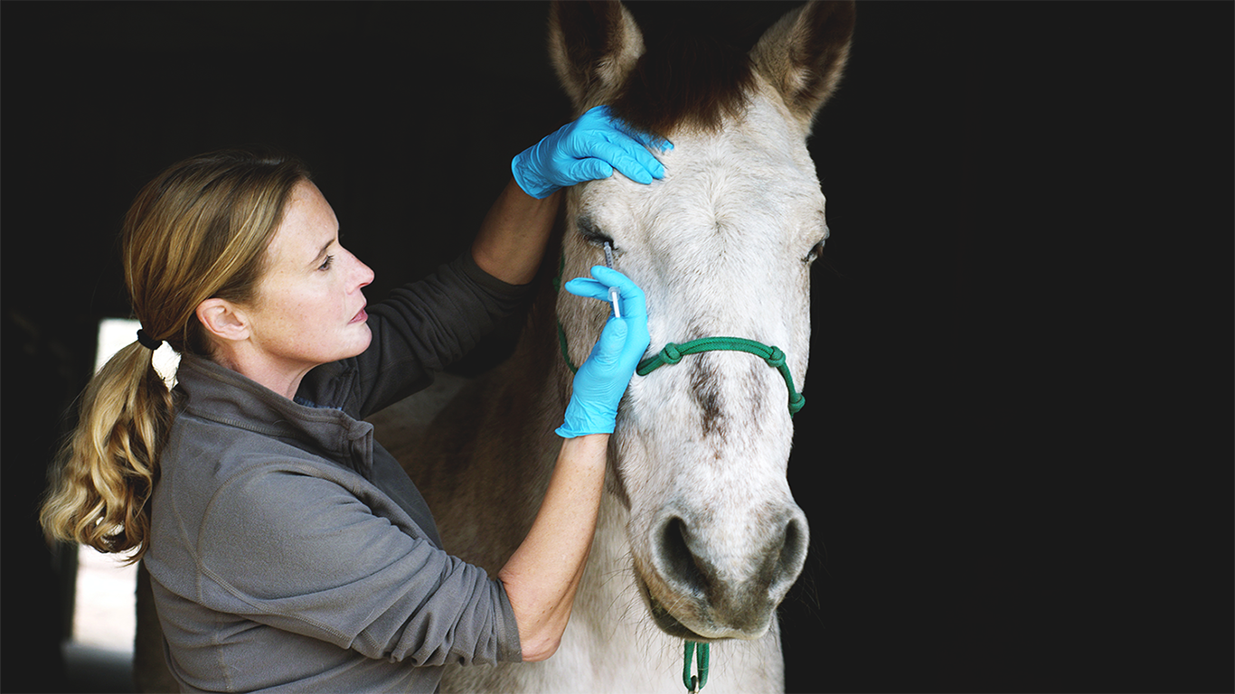 Certified Veterinary Technician